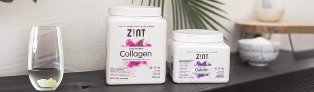 Zint — 15% off