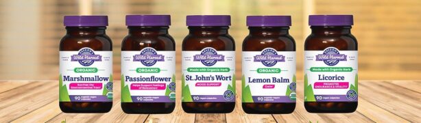 Oregon's Wild Harvest — 10% off